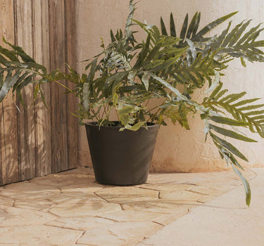 Vaso PETUNIA
