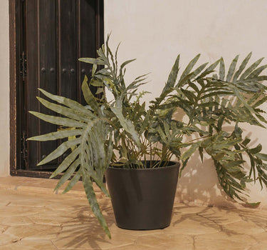 Vaso PETUNIA