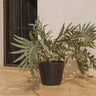 Vaso PETUNIA